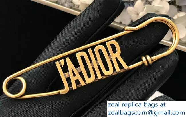 Dior Brooch 03 2018