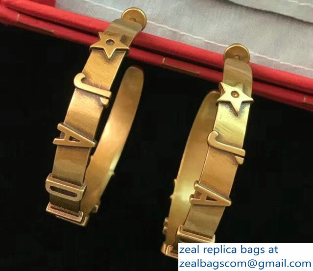Dior Earrings 62 2018