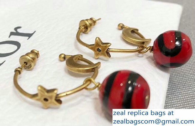 Dior Earrings 64 2018