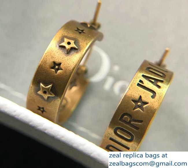 Dior Earrings 71 2018