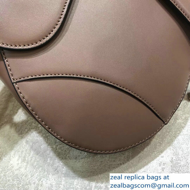 Dior Saddle Bag In Calfskin Nude Pink 2018 - Click Image to Close