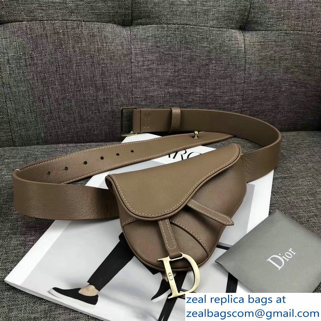 Dior Vintage Saddle Belt Waist Bag Camel 2018 - Click Image to Close