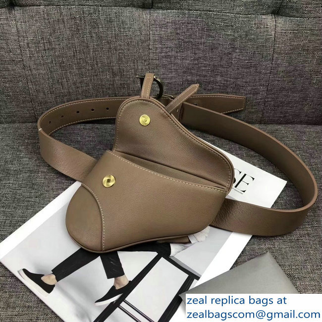 Dior Vintage Saddle Belt Waist Bag Camel 2018 - Click Image to Close