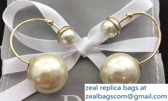 Dior Earrings 73 2018