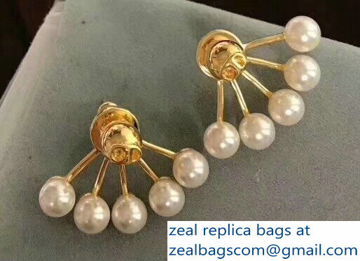 Dior Earrings 75 2018