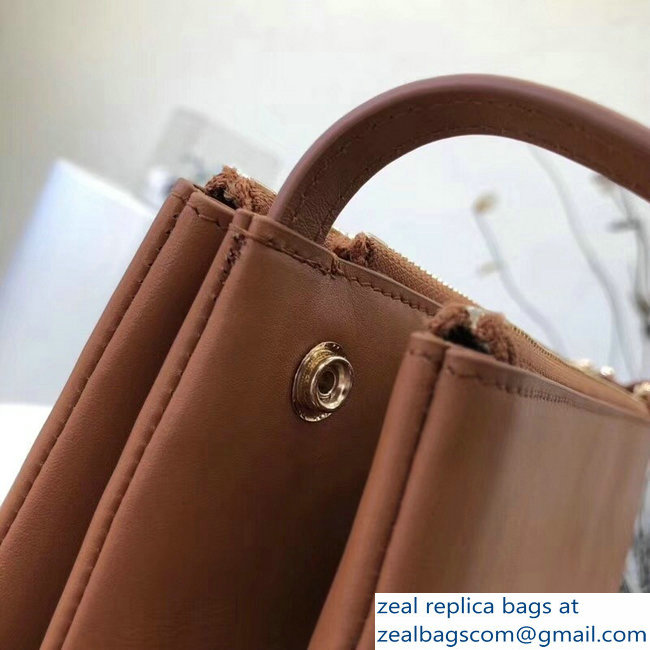 Celine Trio Crossbody Small Bag Brown