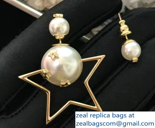 Dior Earrings 87 2018