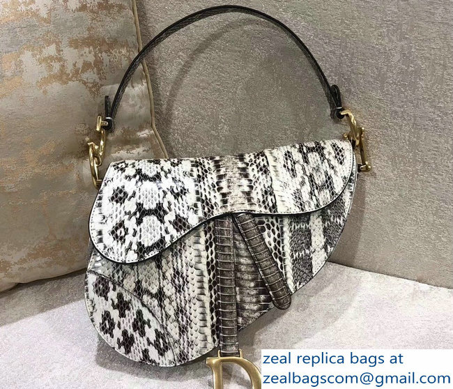 Dior Python Saddle Bag 2018