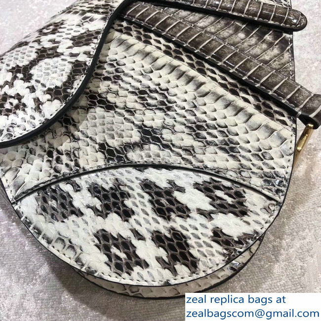 Dior Python Saddle Bag 2018 - Click Image to Close