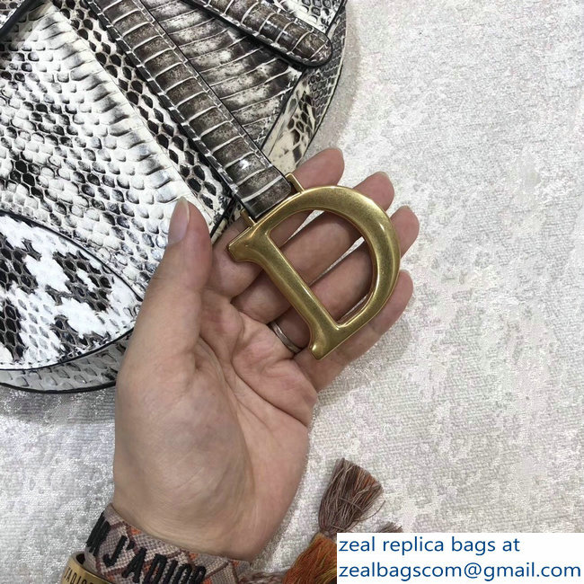 Dior Python Saddle Bag 2018 - Click Image to Close