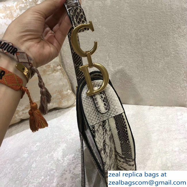 Dior Python Saddle Bag 2018 - Click Image to Close