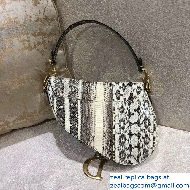 Dior Python Saddle Bag 2018