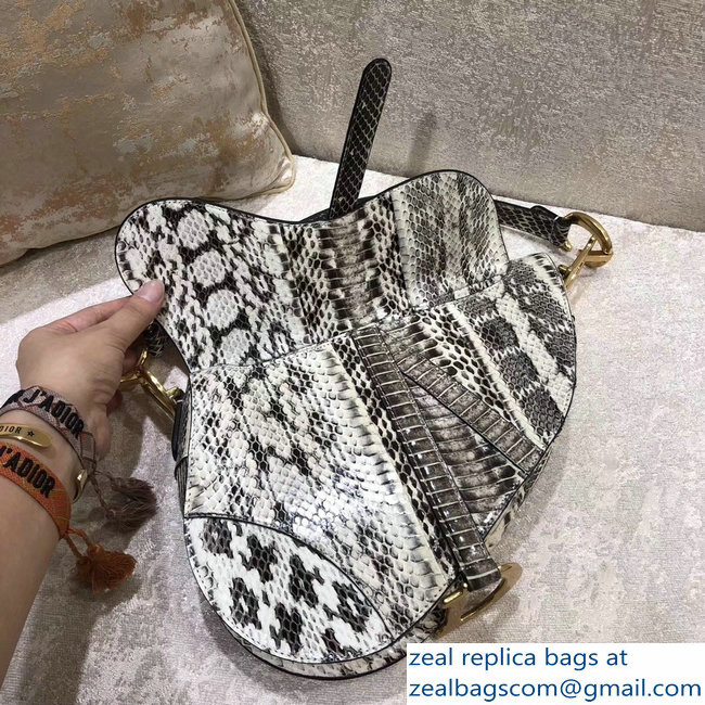 Dior Python Saddle Bag 2018