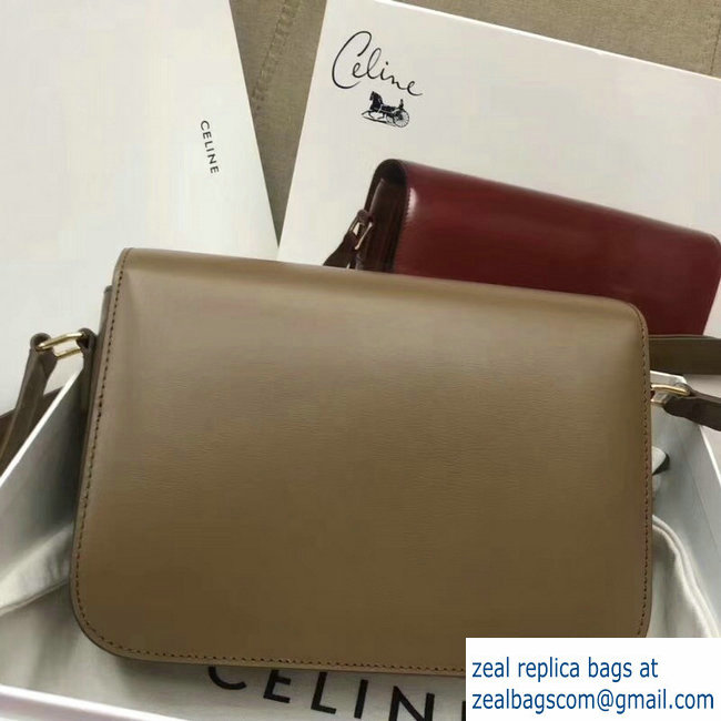 Celine Shiny Calfskin Medium Triomphe Bag Coffee 187363 2019