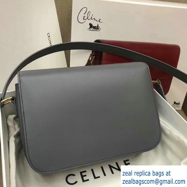 Celine Shiny Calfskin Medium Triomphe Bag Gray 187363 2019 - Click Image to Close