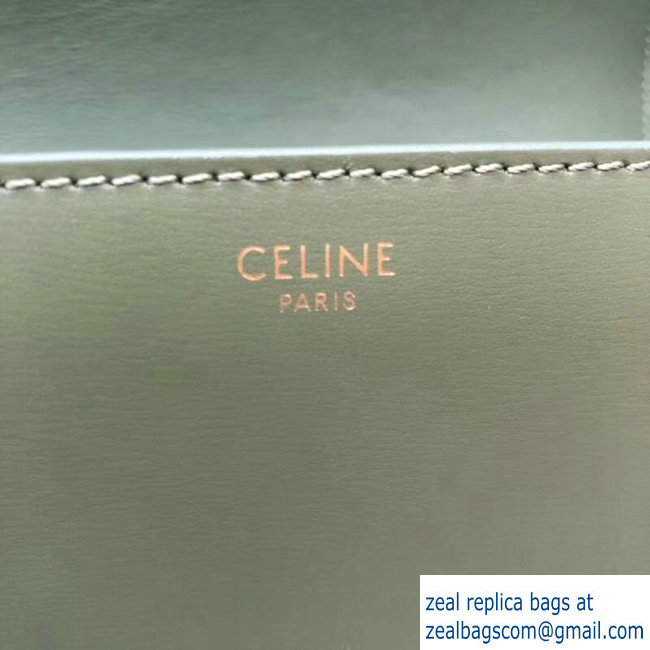 Celine Shiny Calfskin Medium Triomphe Bag Light Green 187363 2019
