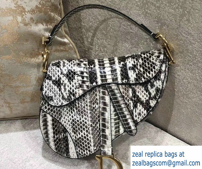 Dior Python Mini Saddle Bag 2018