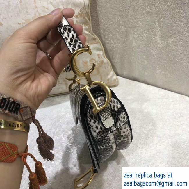Dior Python Mini Saddle Bag 2018