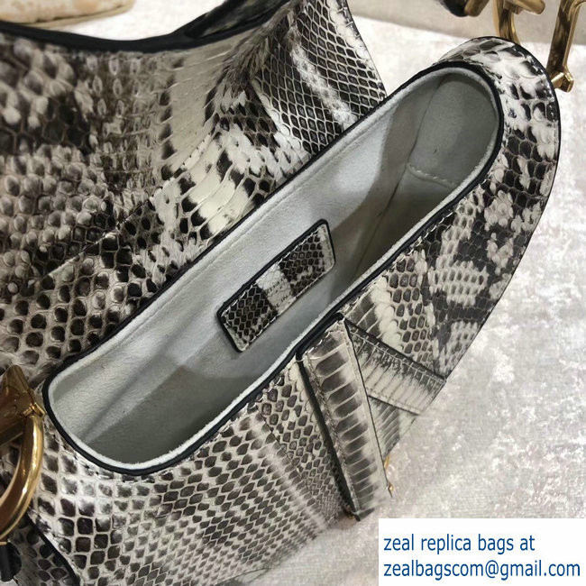 Dior Python Mini Saddle Bag 2018 - Click Image to Close