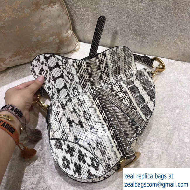 Dior Python Saddle Bag 2018 - Click Image to Close