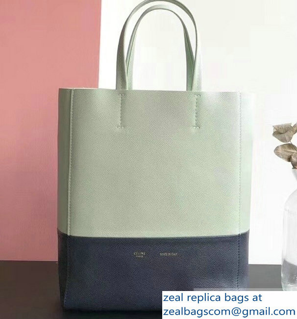 Celine Small Cabas Shopping Bag in Grained Calfskin 189813 Pale Green/Black 2019