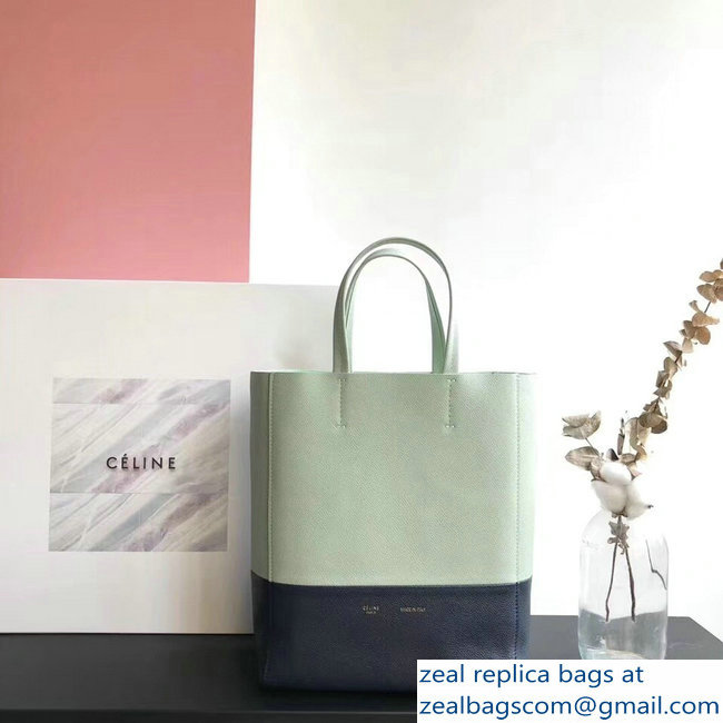 Celine Small Cabas Shopping Bag in Grained Calfskin 189813 Pale Green/Black 2019 - Click Image to Close