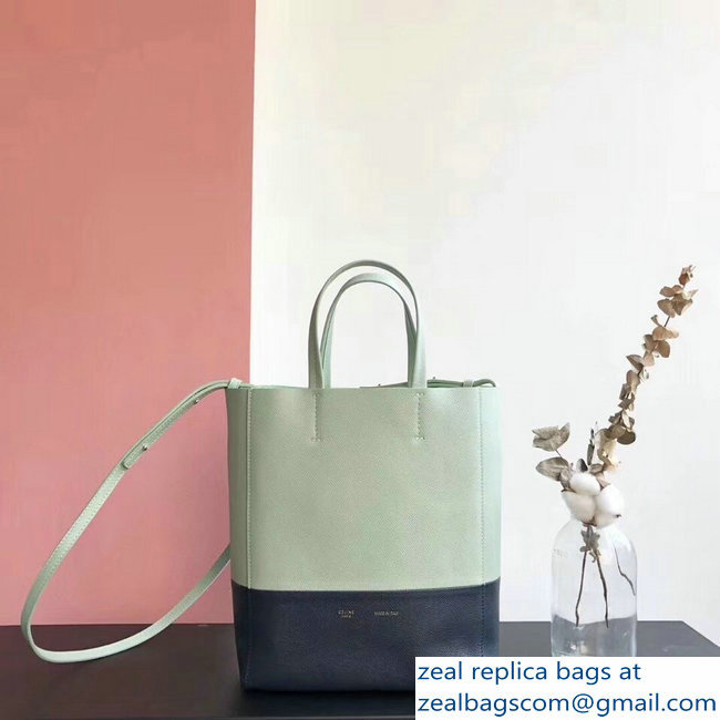 Celine Small Cabas Shopping Bag in Grained Calfskin 189813 Pale Green/Black 2019