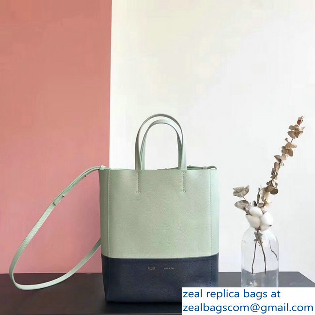 Celine Small Cabas Shopping Bag in Grained Calfskin 189813 Pale Green/Black 2019
