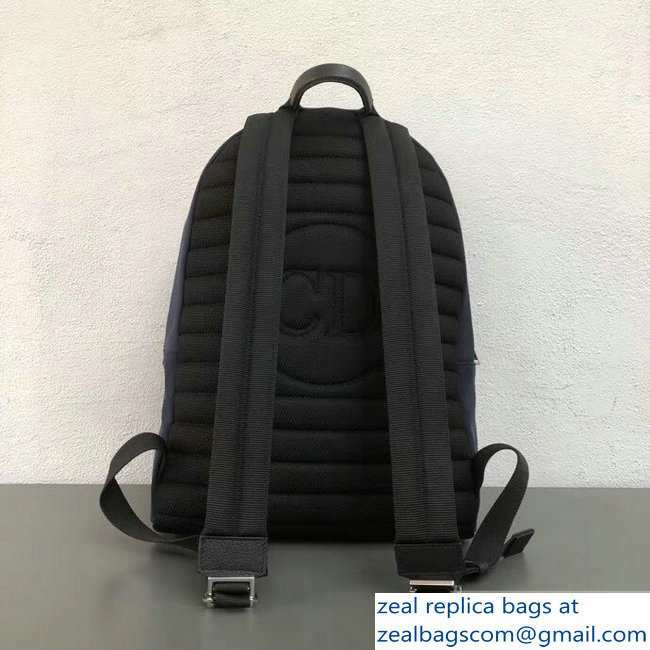 Dior Nylon Bee DIOR X KAWS Rider Backpack Bag Blue with Pink Logo 2019