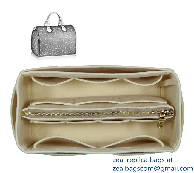 Louis Vuitton Bag Organizer Style 1