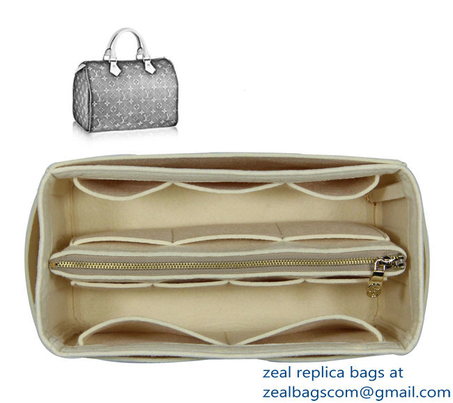 Louis Vuitton Bag Organizer Style 1 - Click Image to Close