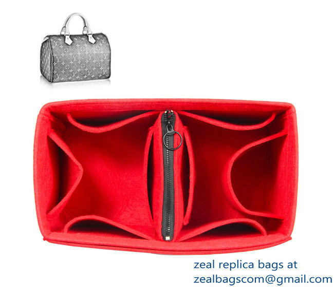 Louis Vuitton Bag Organizer Style 2 - Click Image to Close