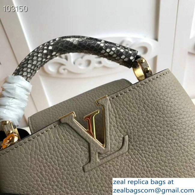 Louis Vuitton Capucines Mini Bag Python Handle Galet