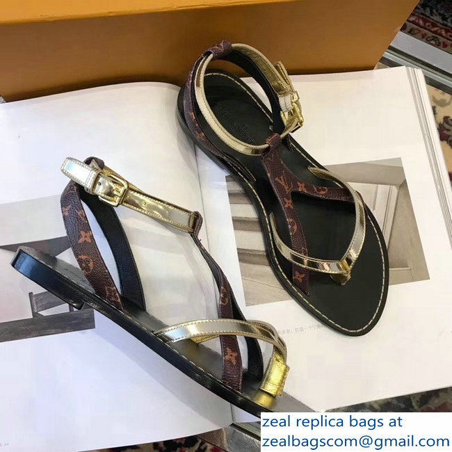 Louis Vuitton City Break Flat Sandals Light Gold 2019 - Click Image to Close