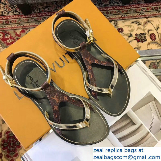 Louis Vuitton City Break Flat Sandals Light Gold 2019 - Click Image to Close