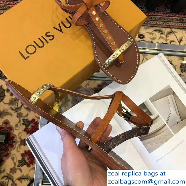 Louis Vuitton Wayside Flat Sandals Brown 2019 - Click Image to Close