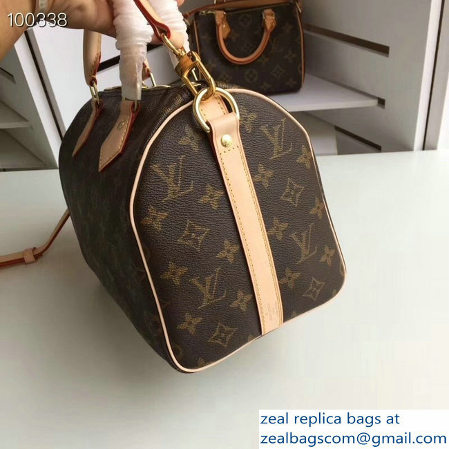 Louis vuitton speedy 25 MONOGRAM Canvas M41113 - Click Image to Close