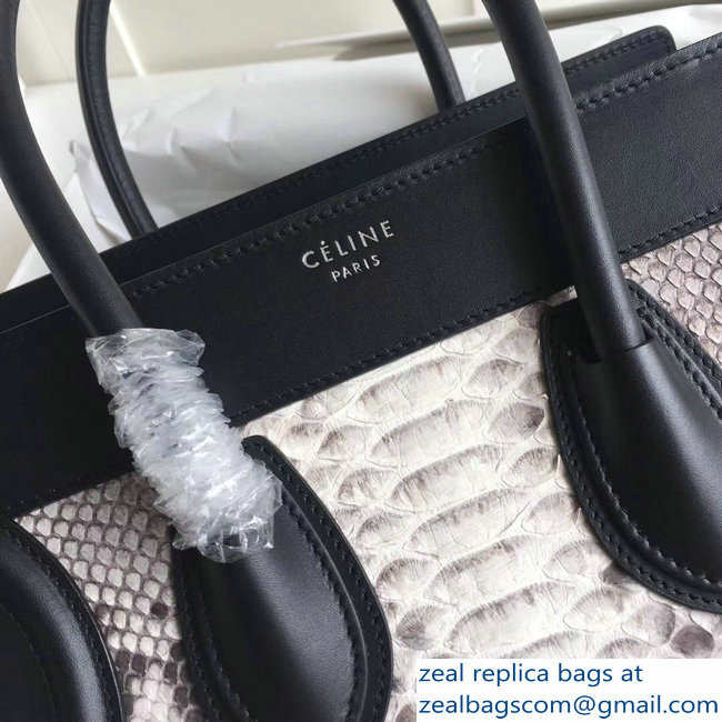 Celine Python Luggage Micro Bag Gray