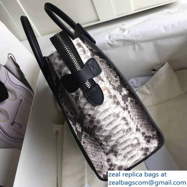 Celine Python Luggage Micro Bag Gray - Click Image to Close