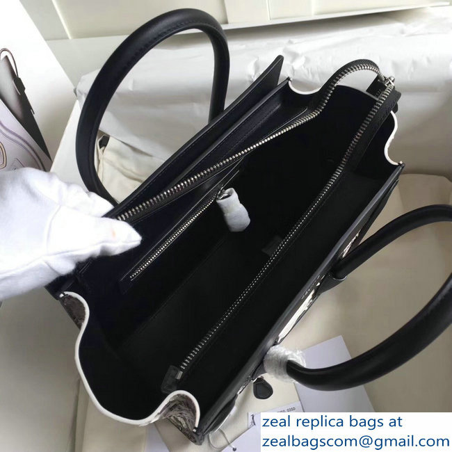 Celine Python Luggage Micro Bag Gray