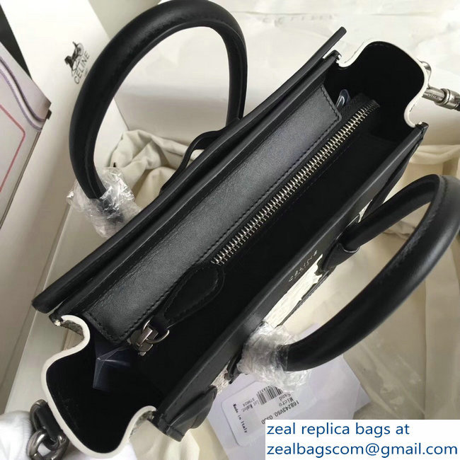 Celine Python Luggage Nano Bag Gray