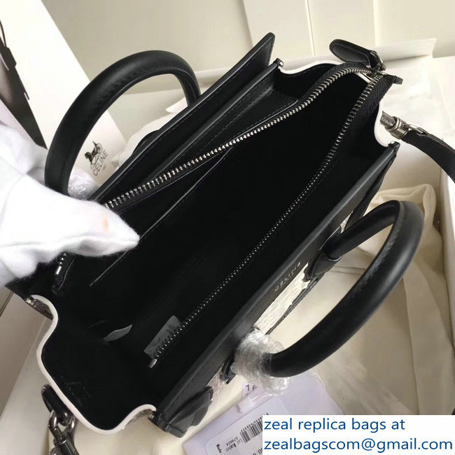 Celine Python Luggage Nano Bag Gray