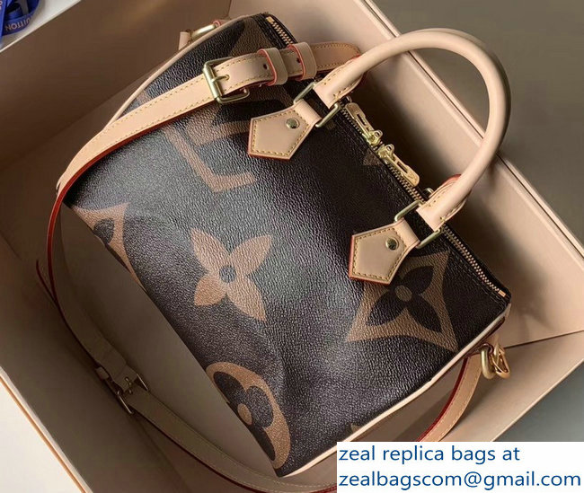 Louis Vuitton Monogram Canvas and Reverse Speedy 25 Bandouliere Bag M41113 2019