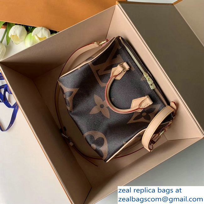 Louis Vuitton Monogram Canvas and Reverse Speedy 25 Bandouliere Bag M41113 2019