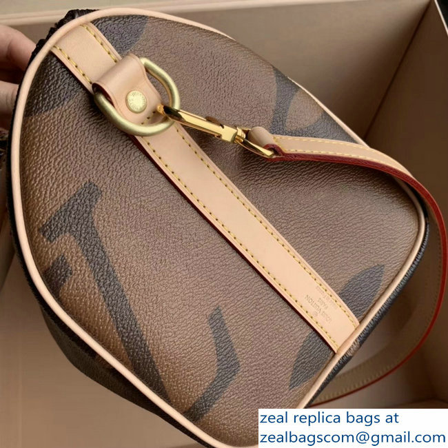 Louis Vuitton Monogram Canvas and Reverse Speedy 25 Bandouliere Bag M41113 2019