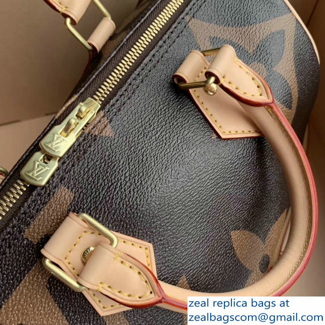 Louis Vuitton Monogram Canvas and Reverse Speedy 25 Bandouliere Bag M41113 2019 - Click Image to Close