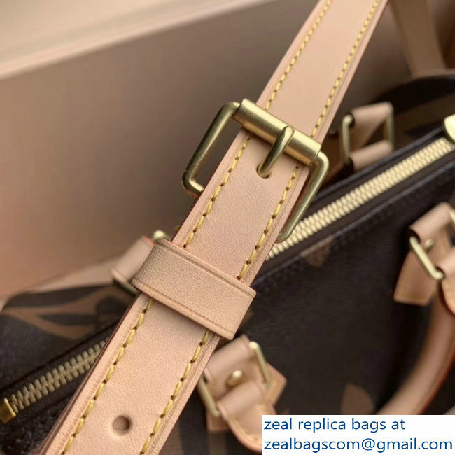 Louis Vuitton Monogram Canvas and Reverse Speedy 25 Bandouliere Bag M41113 2019 - Click Image to Close