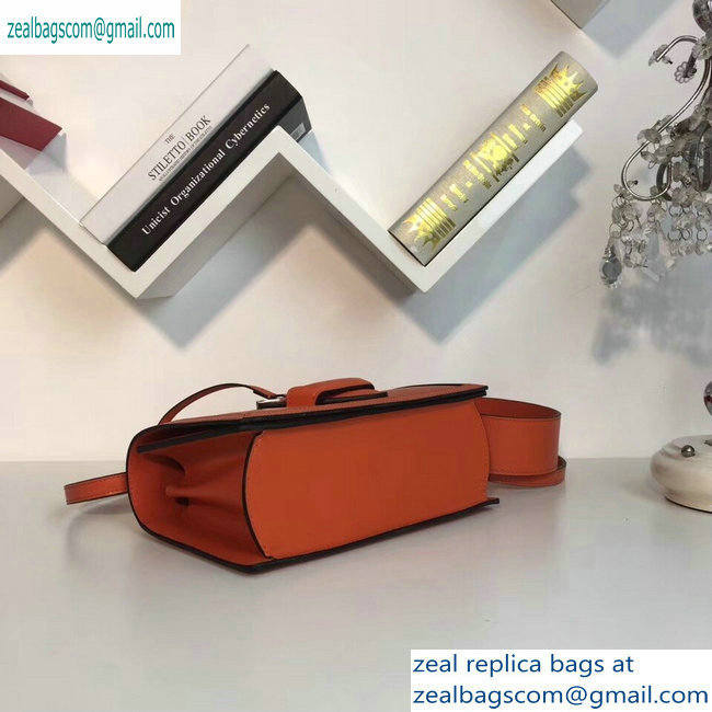 Loewe Boxcalf Bolso Barcelona Bag Orange with Two Shoulder Strap