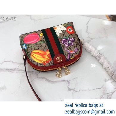 Gucci Web Ophidia GG Flora Print Small Shoulder Bag 499621 Red - Click Image to Close