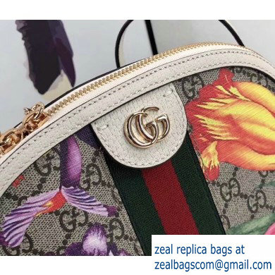 Gucci Web Ophidia GG Flora Print Small Shoulder Bag 499621 White - Click Image to Close